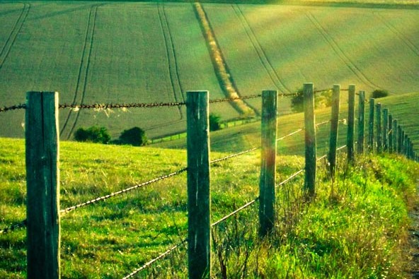 WebbPaton - Countryside Stewardship Capital Grant