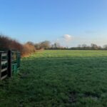 WebbPaton - Land at The Common