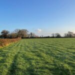 WebbPaton - Land at The Common