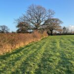 WebbPaton - Land at The Common