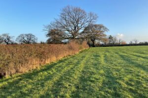 SOLD – Land at The Common, Minety, SN16 9RH
