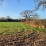 WebbPaton - Land at The Common