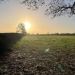 WebbPaton - Land at The Common
