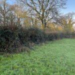 WebbPaton - Land at The Common