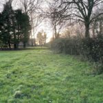 WebbPaton - Land at The Common
