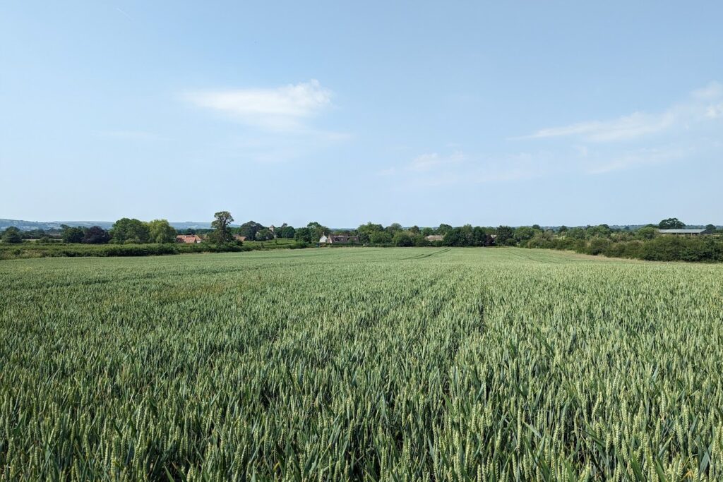 WebbPaton - Land at Poulshot