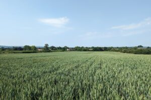 SOLD – Land at Poulshot, Poulshot Road, Devizes, Wiltshire, SN10 1RY