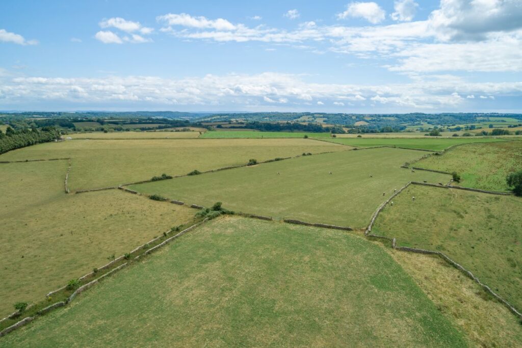 WebbPaton - Westend Town Farm