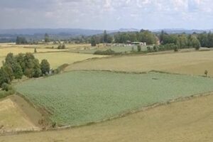 SOLD – Lot 3 – Westend Town Farm, Marshfield, South Gloucestershire, SN14 8JH