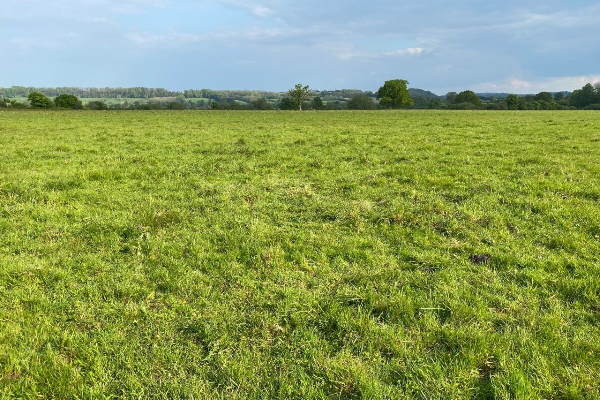 SOLD – Land at Witcomb, Hilmarton, Calne, Wiltshire, SN11 8TA