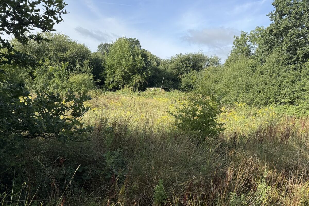 SOLD – Land at Webbs Wood, Brinkworth, SN15 5EF